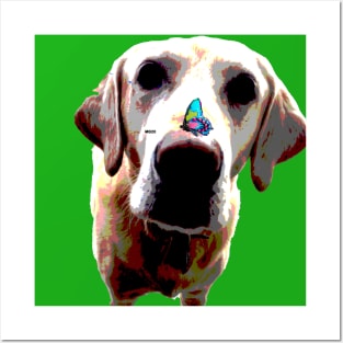 Yellow Labrador Retriever Posters and Art